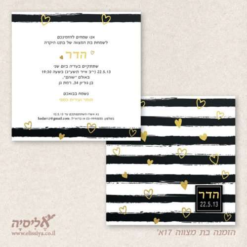 הזמנה בת מצווה מס' 17א