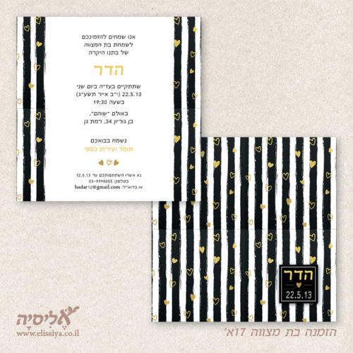 הזמנה בת מצווה מס' 17ב