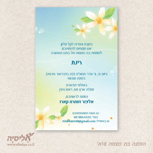 הזמנה בת מצווה מס' 18