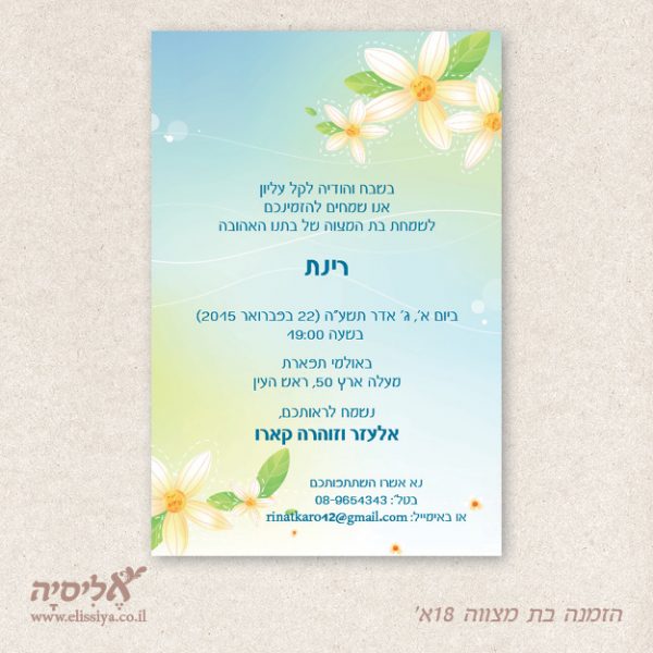 הזמנה בת מצווה מס' 18